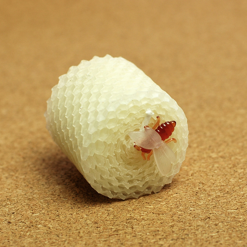 子供の誕生日パーティー用品結婚式の誕生日キャンドルケーキデコ - Soy Wax のレビューと価格